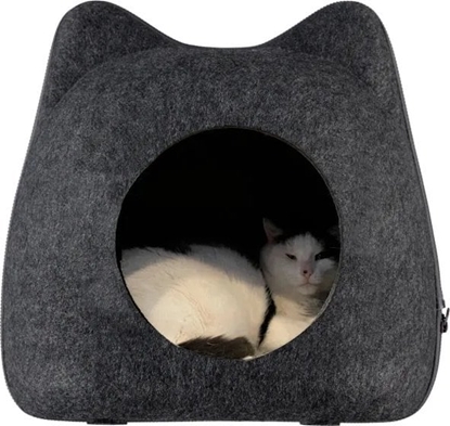 Attēls no Paw Paw Love - Kattehule - Holger