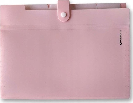 Picture of Penmate Teczka z 5-ma przegródkami A4 PENMATE PP-105 pastelowa - pomaraczowa