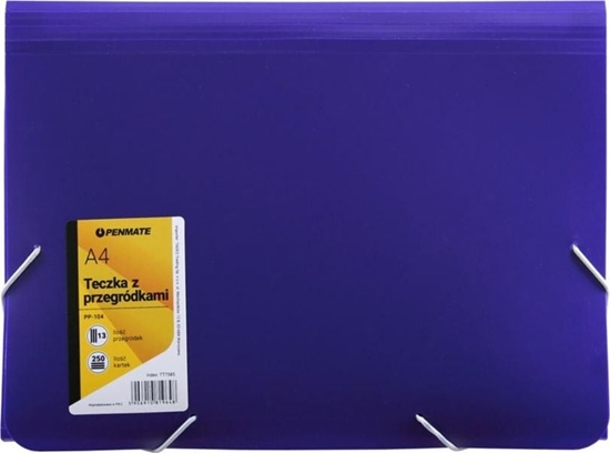 Picture of Penmate Teczka z przegródkami A4 PP-104 fioletowa (315717)