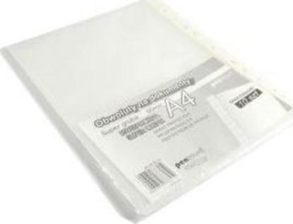 Изображение Penword OBWOLUTA A4/10 80 MIC KRYSTALICZNA Penword