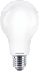Picture of Philips Bulb