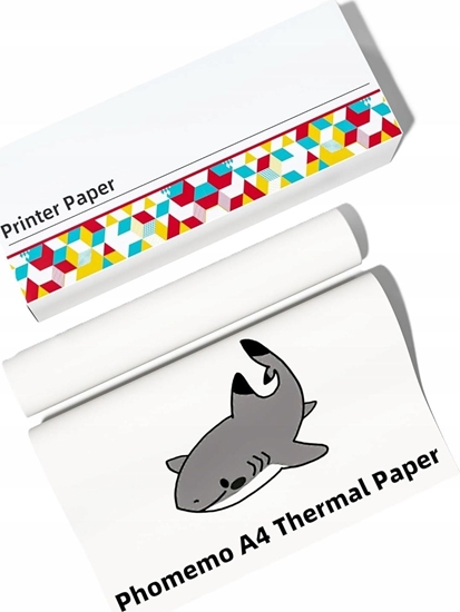 Picture of Phomemo Papier Termiczny Kartki Wkad 2 Rolka Rolki Letter 216mm do Phomemo M832 / Q22-RMSG10-LTRM8