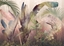 Изображение PHOTOMURALS 350X250CM RAINFOREST