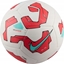 Изображение Pika Nike Pitch Team FZ2636-104