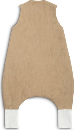 Picture of PIWOREK DO SPANIA L ZAGAJNIK BRZOWY TOG 1.0