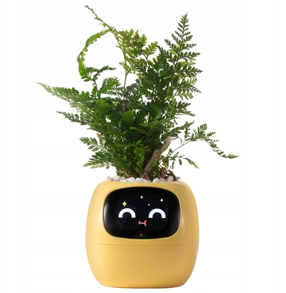 Изображение PlantsIO IVY óta
