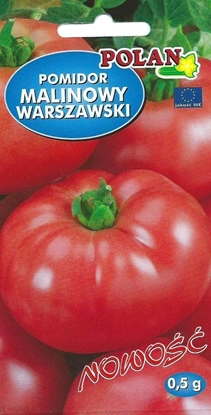 Picture of PLATINET NASIONA POMIDOR GRUNTOWY WARSZAWSKI TOMATO SEEDS 0,5 G