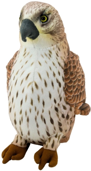 Picture of Pluszowa Maskotka Przytulanka Ptak Sokó Wdrowny Brzowy 30cm