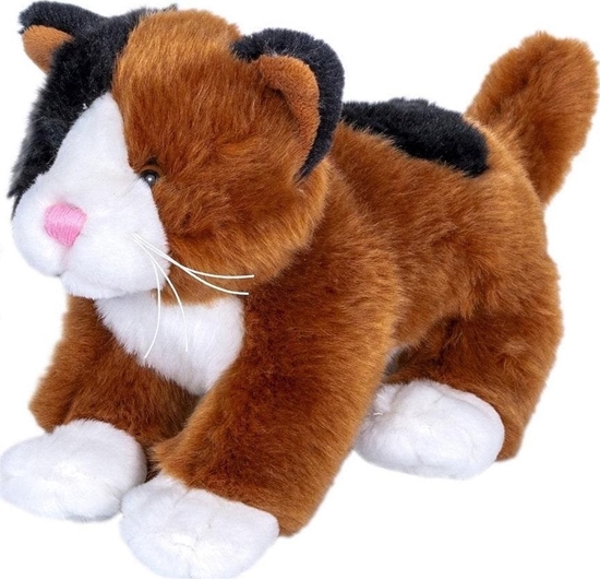 Picture of Pluszowy kot