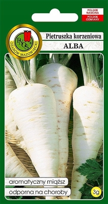 Picture of PNOS Nasiona warzyw | Pietruszka Korzeniowa Alba | Opakowanie 3g
