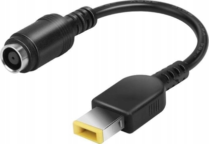 Изображение ProXtend ProXtend 7.9mm to Slim Tip DC Dongle for Lenovo