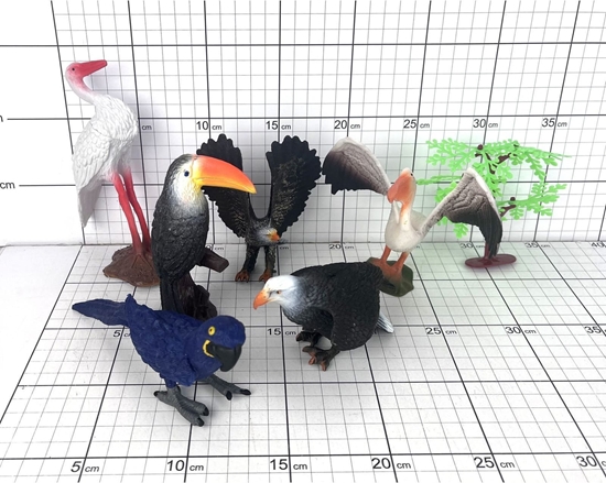 Picture of PTAKI 7 SZT. W FOLII