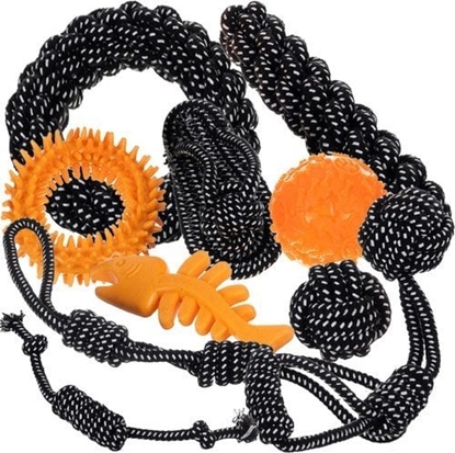 Picture of Purlov Zestaw zabawek dla psa - 10 szt. Purlov 24388