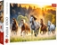 Picture of PUZZLE 1500 Dzikie konie 26215