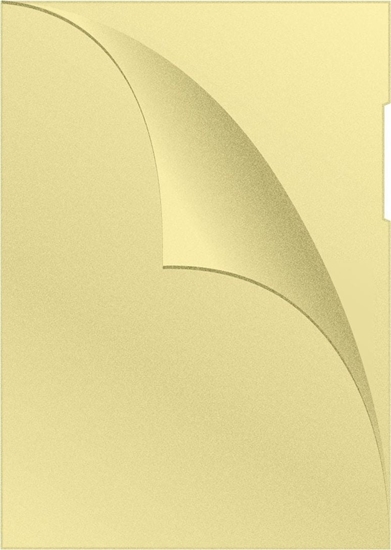 Изображение Q-Connect OBWOLUTA Q-CONNECT TYPU L, PP, A4, GROSZKOWA, 120MIKR., ÓTA KF00308