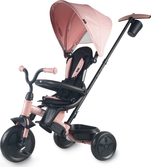 Picture of Qplay Rowerek Trójkoowy Elite Platinum Pink