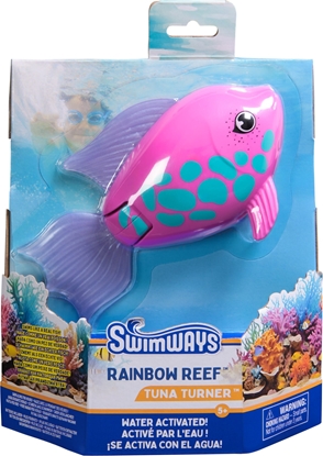 Picture of Rainbow Reef Fish - Rainbow Fish
