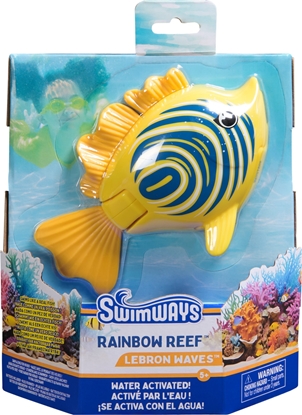 Picture of Rainbow Reef Fish - Zebra Fish