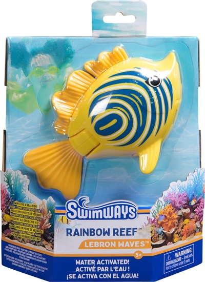 Picture of Rainbow Reef Fish - Zebra Fish