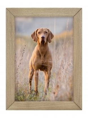 Изображение Ramka Woodflow FrameFlip A4 - naturalne drewno