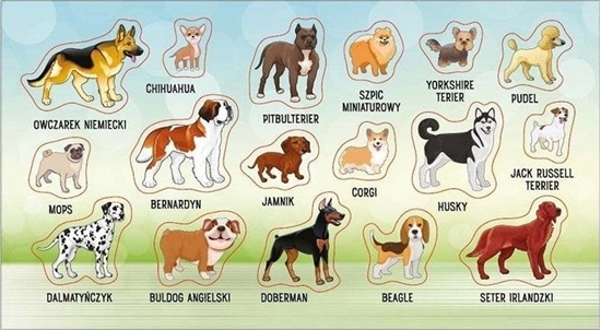 Изображение Ranok Naklejki Rasy psów