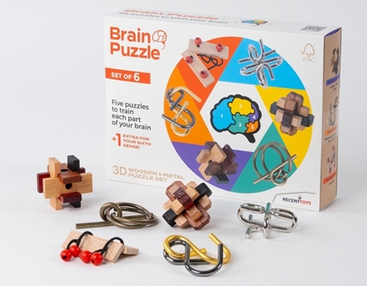 Picture of Recent Toys RECENT TOYS Brainteaser Brain puzzle set
