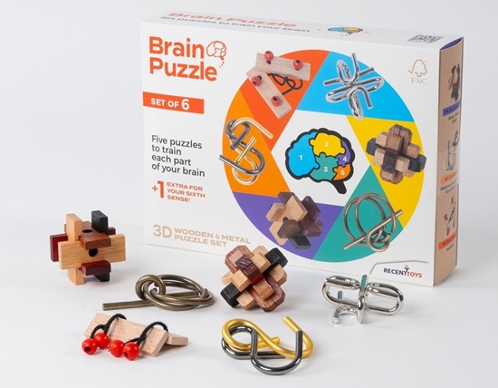 Picture of Recent Toys RECENT TOYS Brainteaser Brain puzzle set