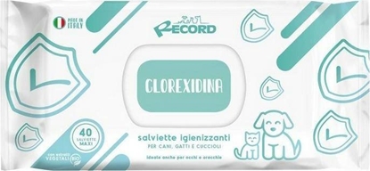 Picture of Record Italy RECORD CHUSTECZKI NEW CHLORHEKSYDYNA XL 80szt ANTYBAKTERYJNE