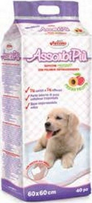 Picture of Record Italy RECORD PODKADY DLA PSA 60x60cm /40szt OWOCOWE