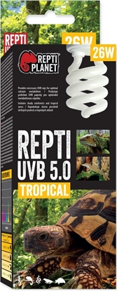 Attēls no REPTI PLANET RP ZAROWKA REPTI UVB 5.0 26W 41514