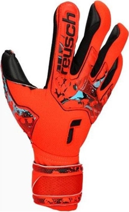 Изображение Reusch Rkawice bramkarskie Reusch Attrakt Duo M 5370025-3333