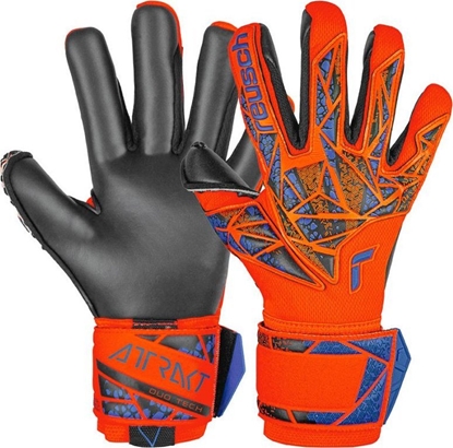 Изображение Reusch Rkawice Reusch Attrakt Duo 54 70 025 2211
