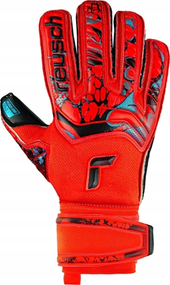 Attēls no Reusch Rkawice Reusch Attrakt Gold Roll Finger 53 70 137 3333