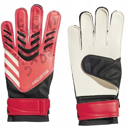 Picture of Rkawice adidas Predator GL TRN JH3805