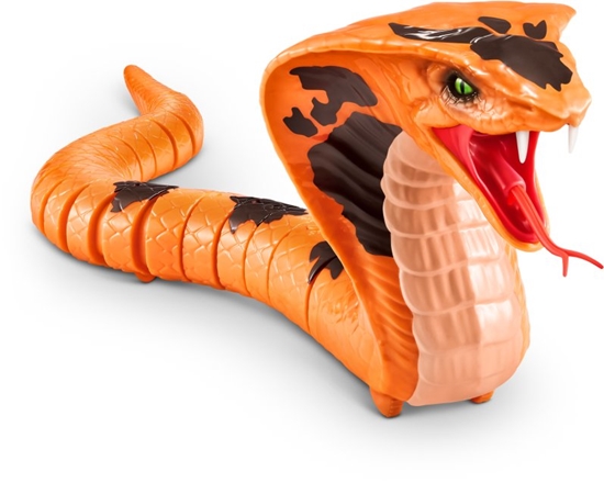 Picture of Robo Alive King Cobra