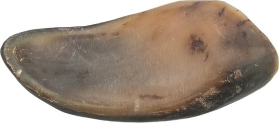 Picture of Róg bawoli, nadziewany, przysmak, dla psa, 10-14 cm