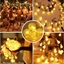 Изображение RoGer Bulb String Lights 100 LED Warm-White 10m
