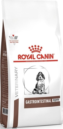 Picture of Royal Canin Gastro Intestinal Puppy karma dla szczenit z zaburzeniami trawienia, 1 kg