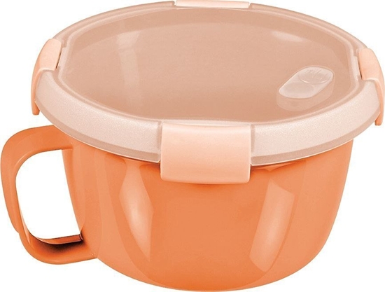 Picture of Rojaplast Pojemnik Smart to go, 900 ml