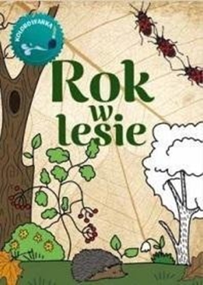 Изображение Multico Rok w lesie Kolorowanka