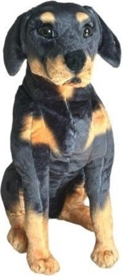 Изображение Rotweilleri siedzcy 65cm