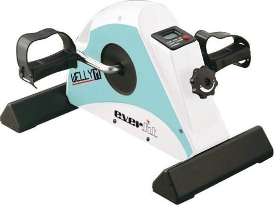 Picture of Rower stacjonarny Everfit Welly-M mechaniczny