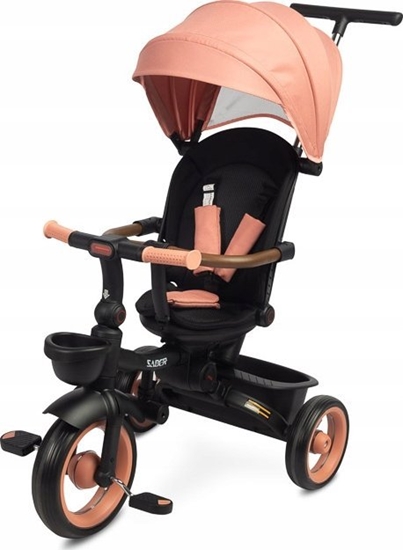 Picture of ROWEREK 3-KOOWY SABER LIGHT PINK