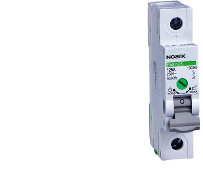 Attēls no Rozczniki izolacyjne Ex9I125 1P 63A