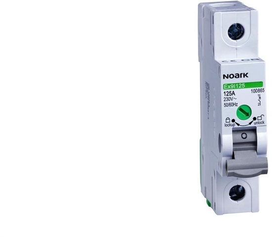 Picture of Rozczniki izolacyjne Ex9I125 1P 63A
