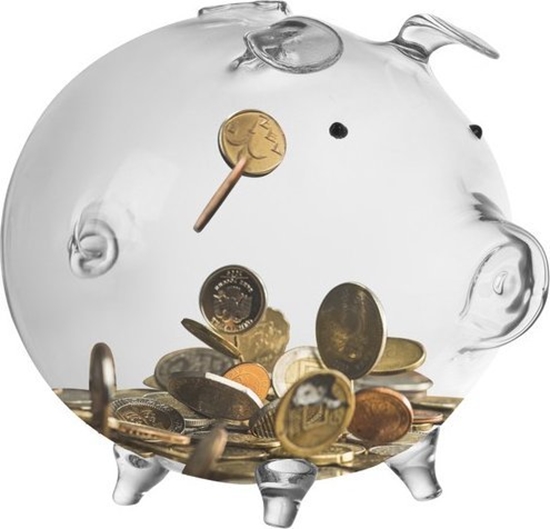 Picture of Ruhhy Skarbonka- winka szklana  Ruhhy 22588