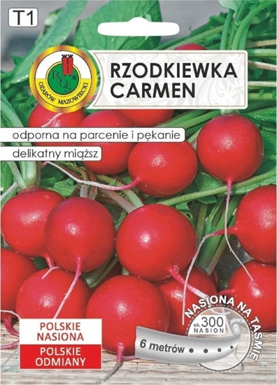 Picture of Rzodkiewka CARMEN - Polska odmiana do caorocznej uprawy nasiona