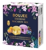 Picture of Saldējums Makarūns BOUJEE Mix, melleņu un mango, 4gab x 60g, 240g