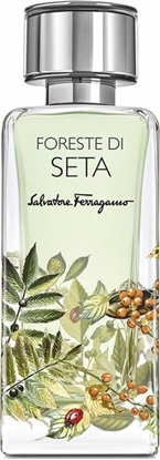 Изображение Salvatore Ferragamo Salvatore Ferragamo, Foreste Di Seta, Eau De Parfum, Unisex, 100 ml Unisex