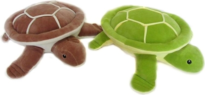 Picture of Sandy ów (C4016)